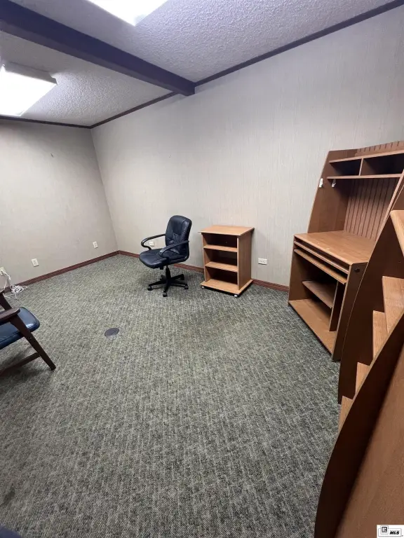 Picture 23