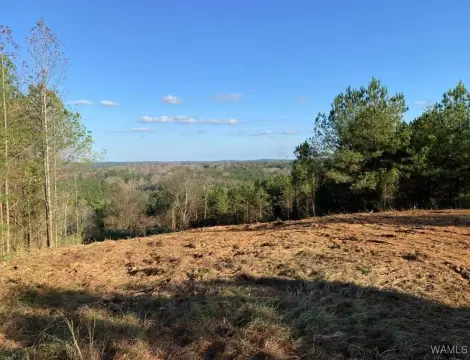 Northport Land with Riverfront Views