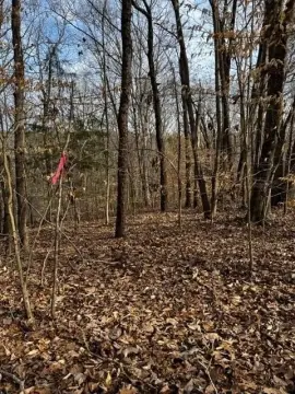 Secluded Wooded Lots Near Kerr