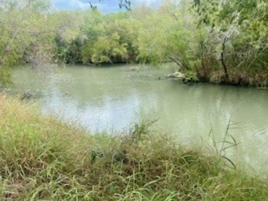 Picture 5