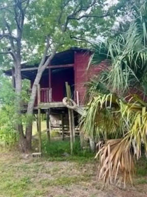 Picture 9