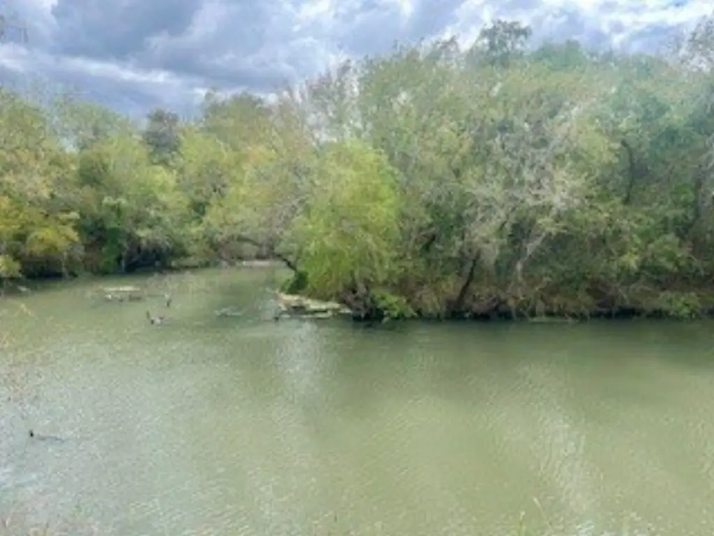 Picture 3