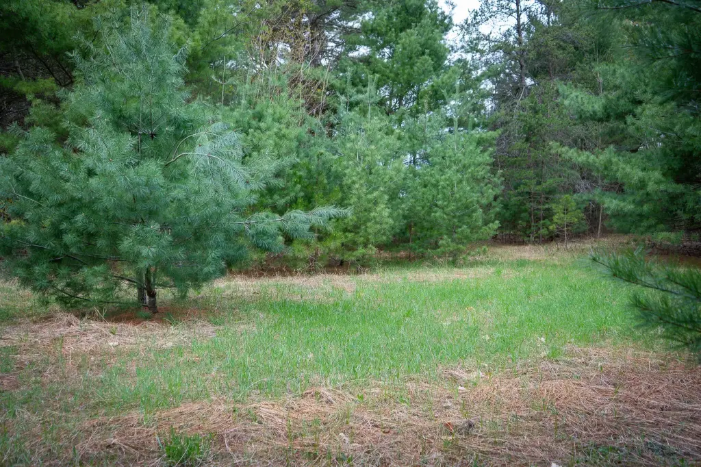 Picture 19