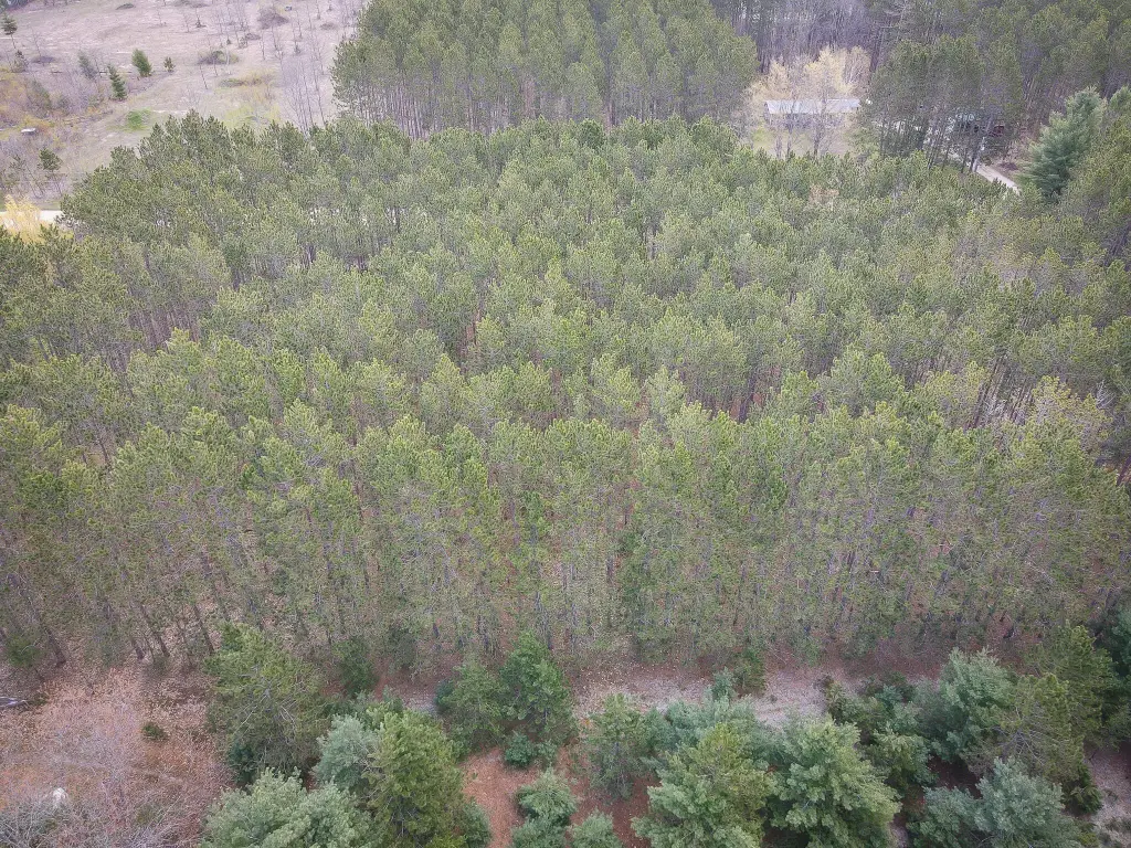 Picture 10