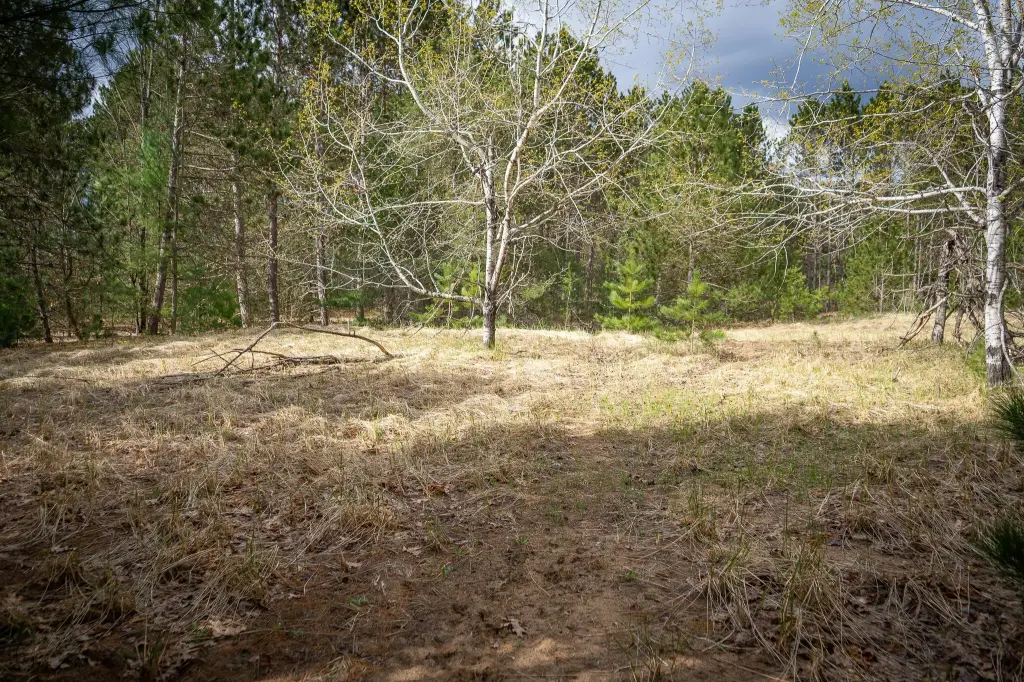 Picture 30
