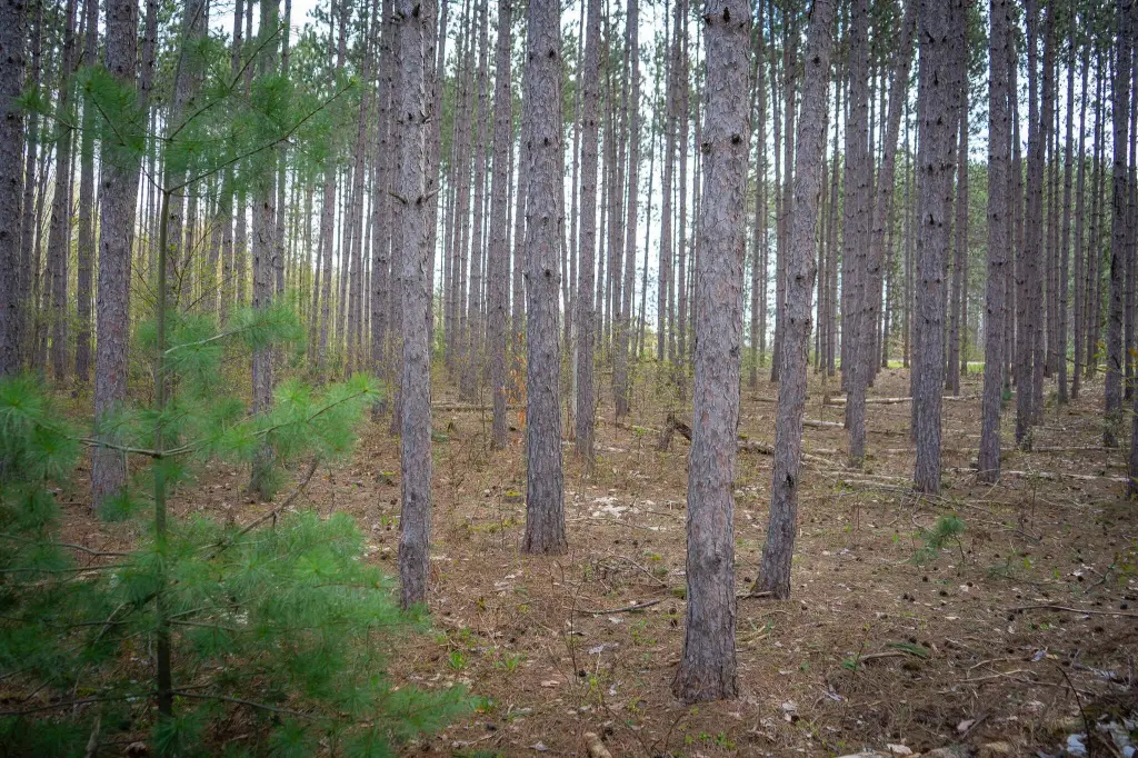 Picture 16