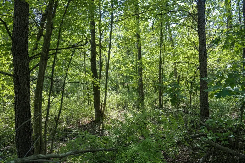Picture 16