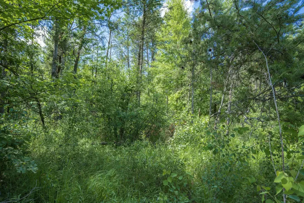Picture 11