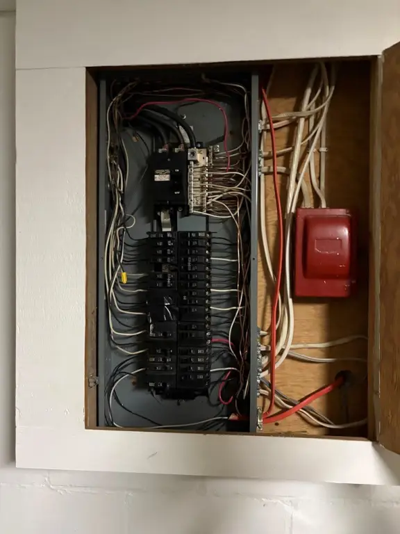 Picture 8