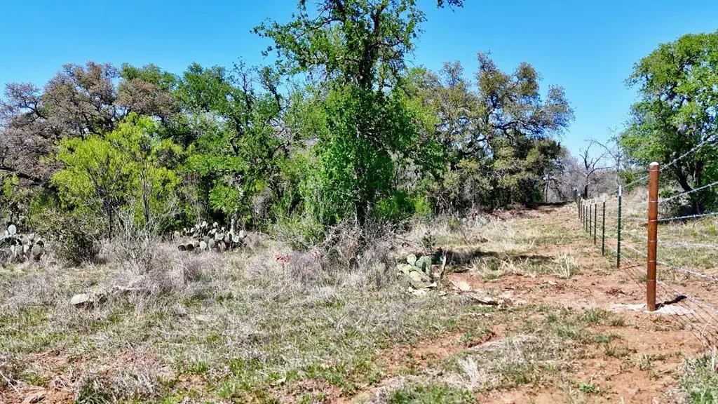 Picture 28