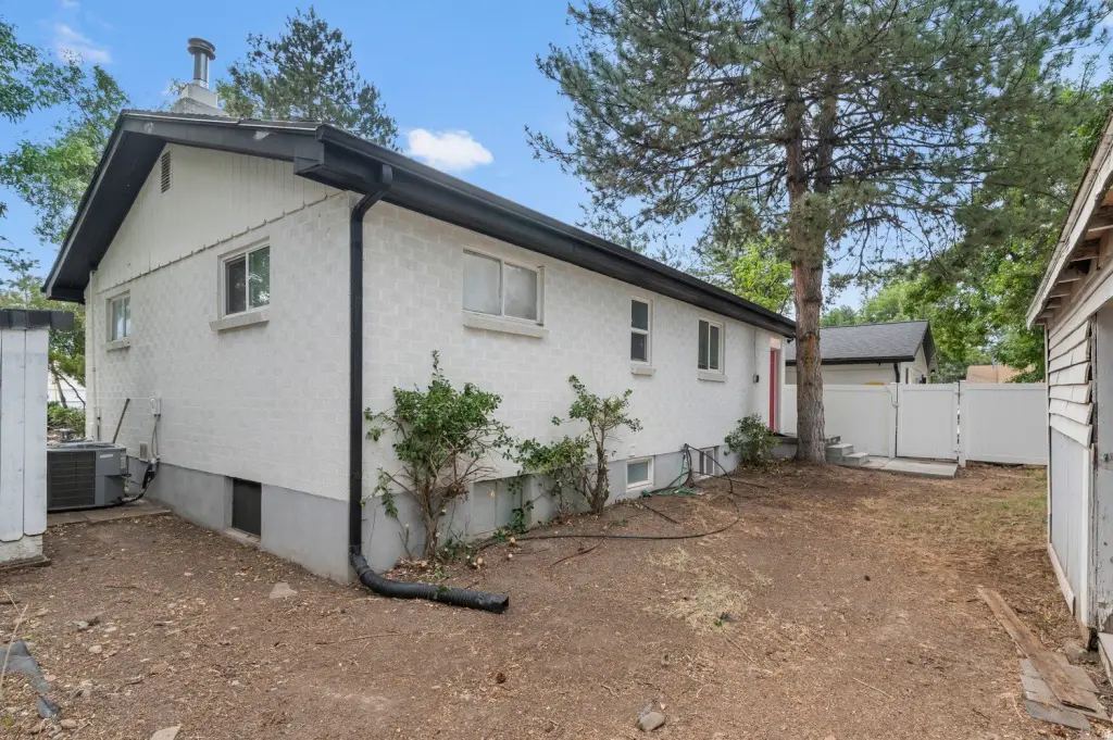 Picture 42