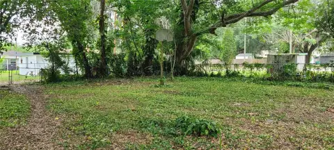 Commercial Lot in Zephyrhills