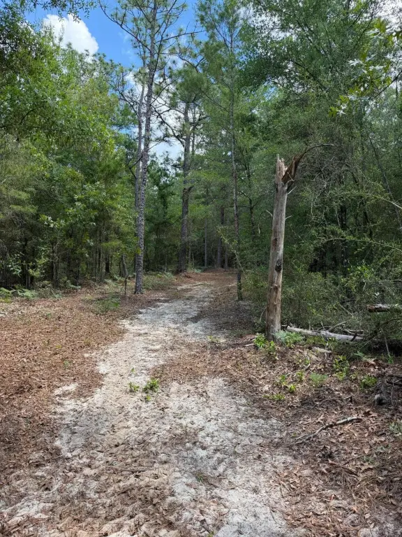 Picture 21