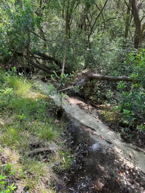Picture 4