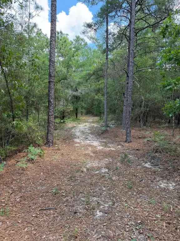 Picture 23