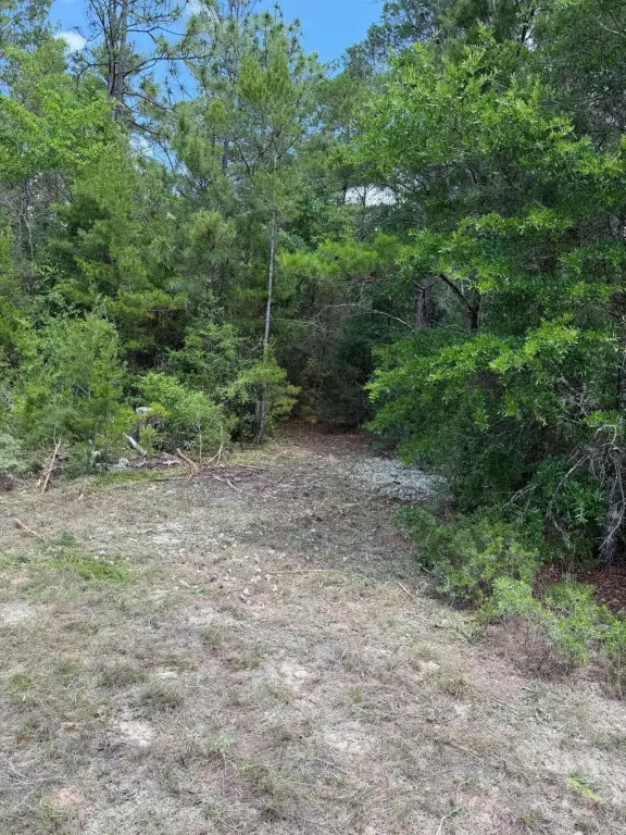 Picture 37