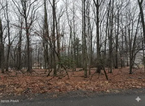 Tanglwood Lakes Building Lot