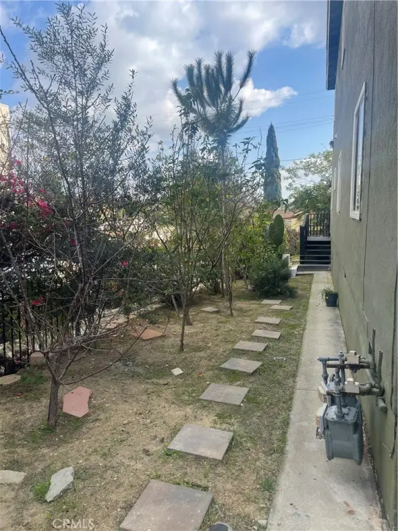 Picture 19