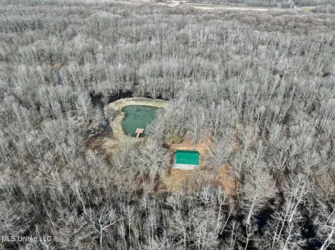 Premier Recreational Land - Belzoni, MS