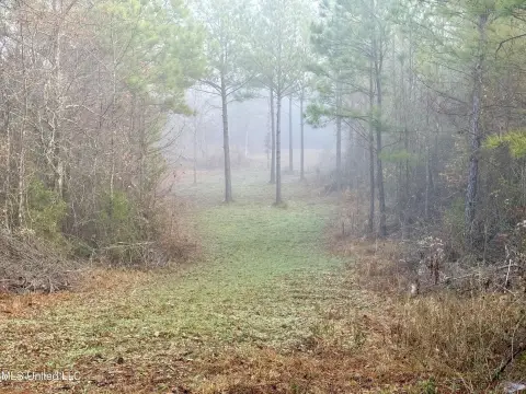Off-Grid Hunting Land