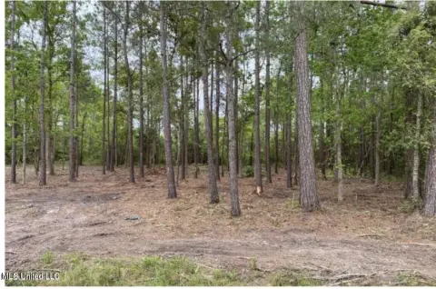 Pass Christian Land with Views