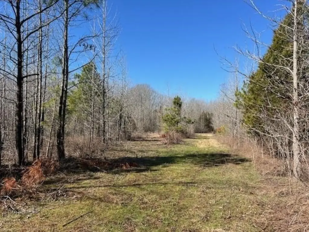 Picture 16