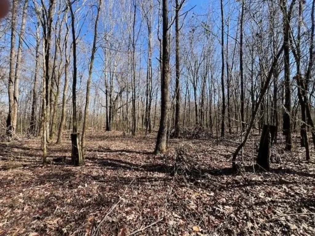 Picture 19