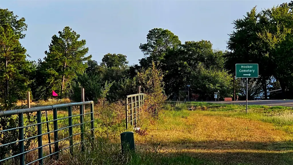 Picture 21