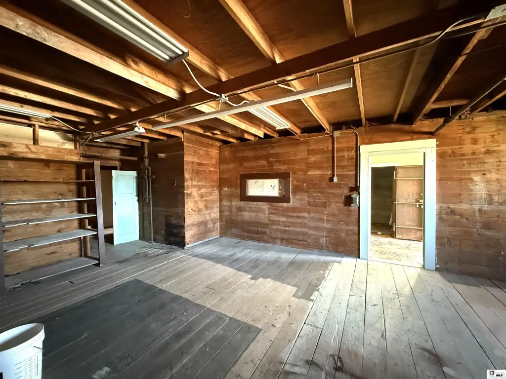Picture 5