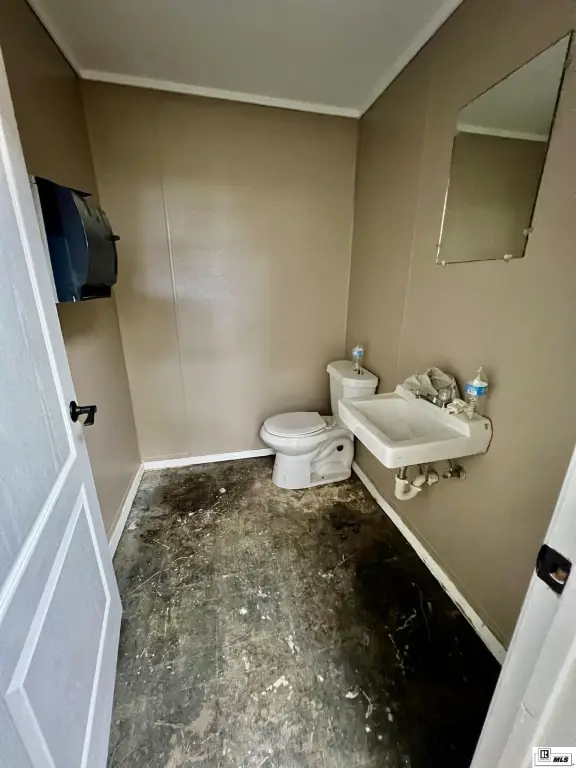Picture 8