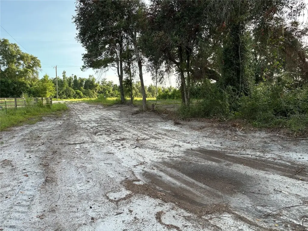 Picture 40