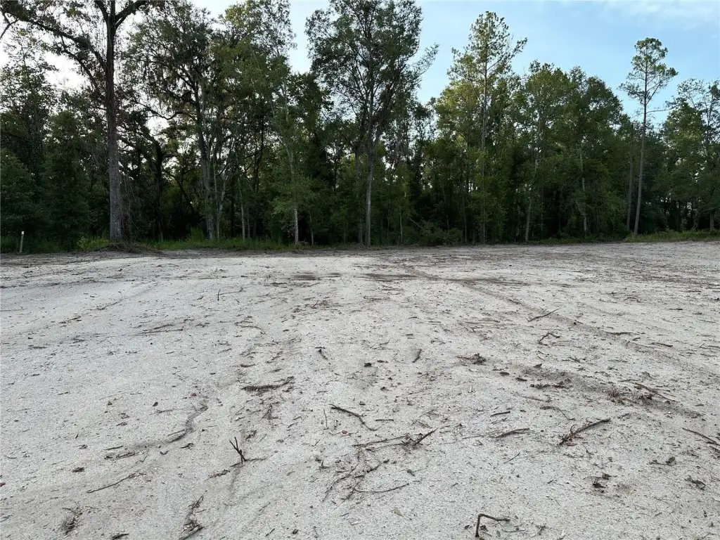 Picture 32