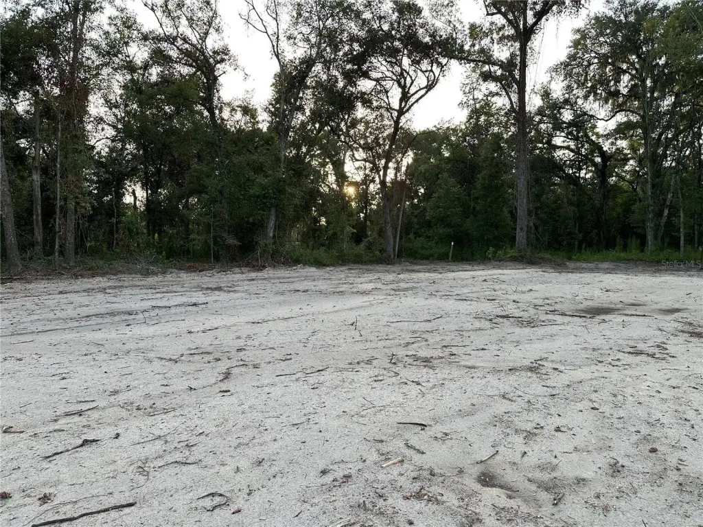 Picture 25