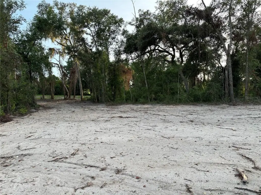 Picture 20