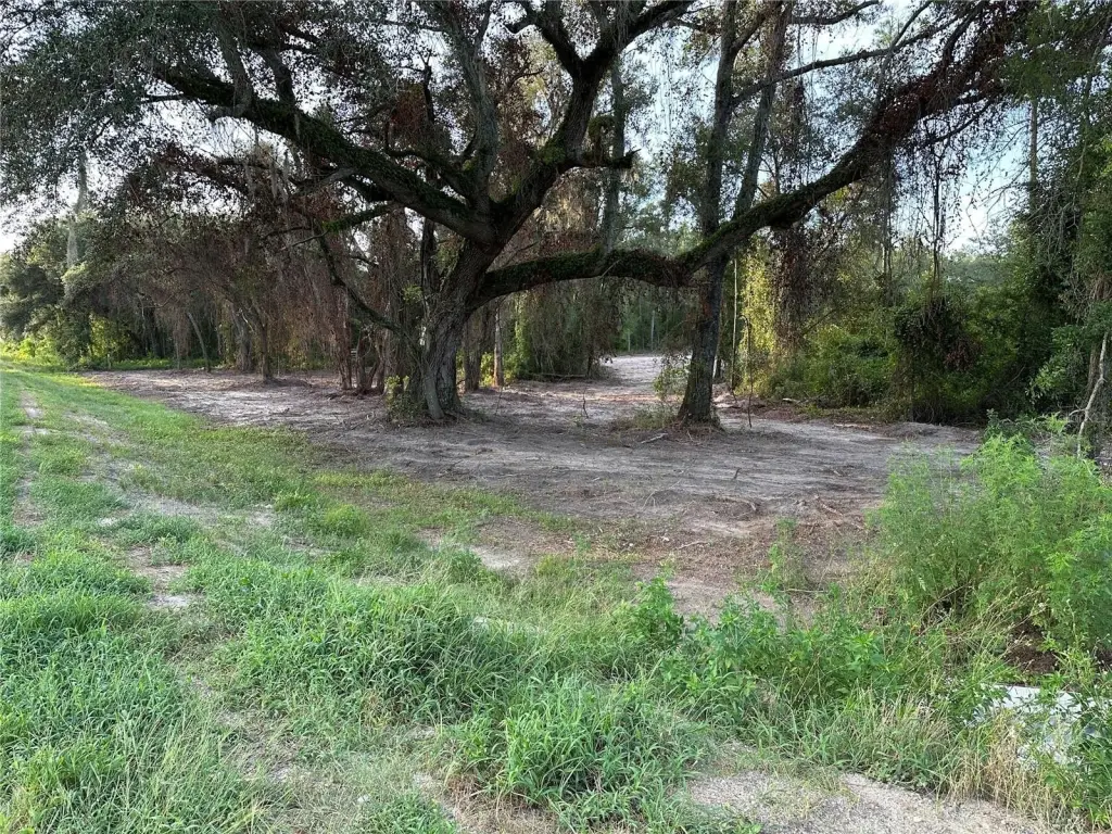 Picture 43