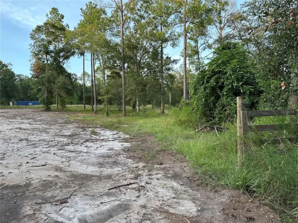 Picture 37
