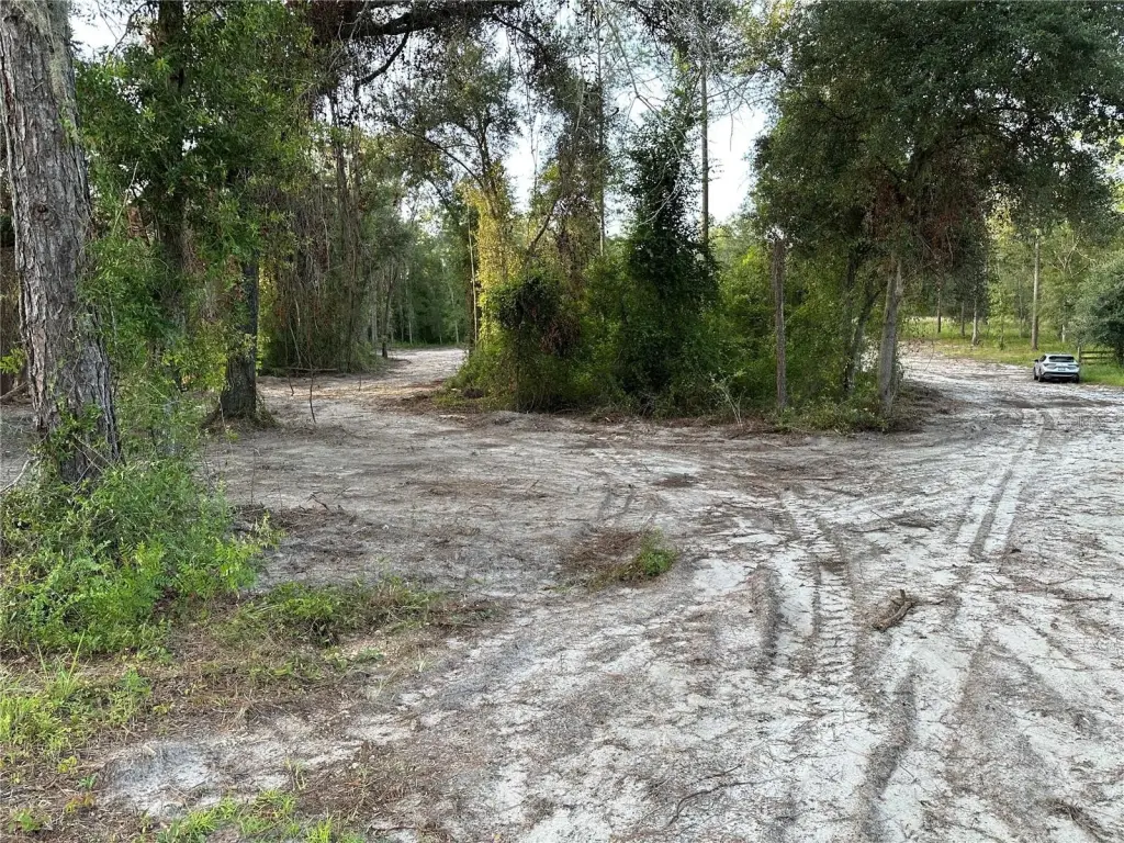 Picture 41