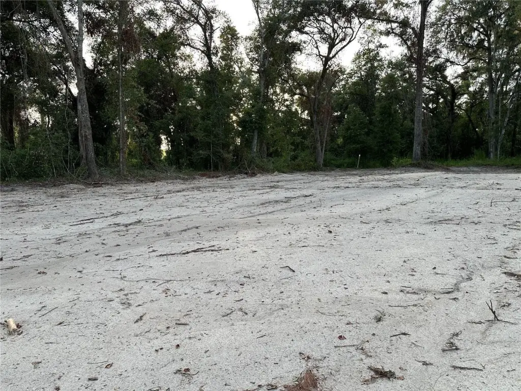 Picture 33