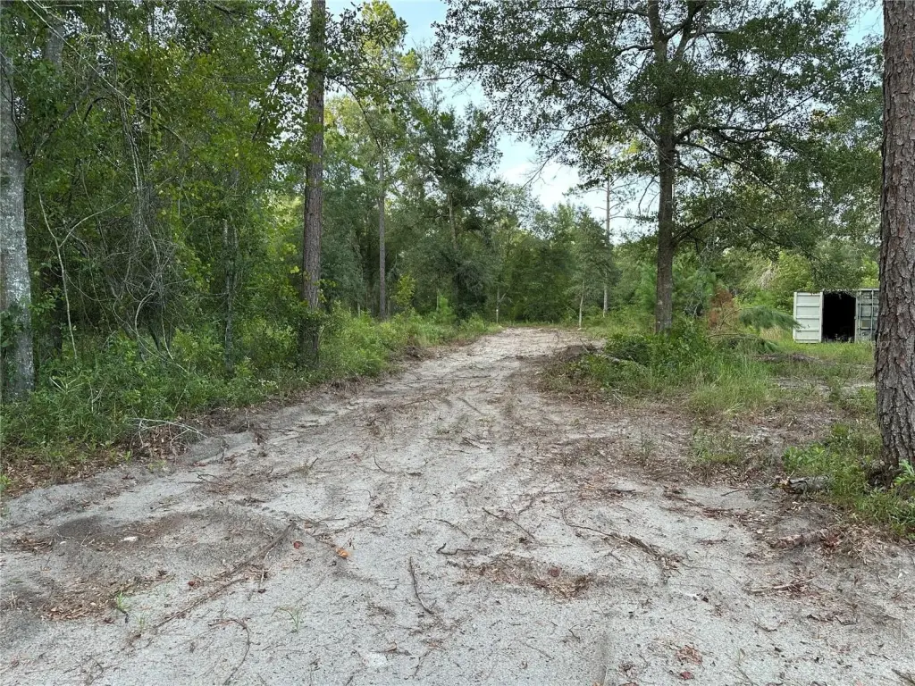 Picture 18