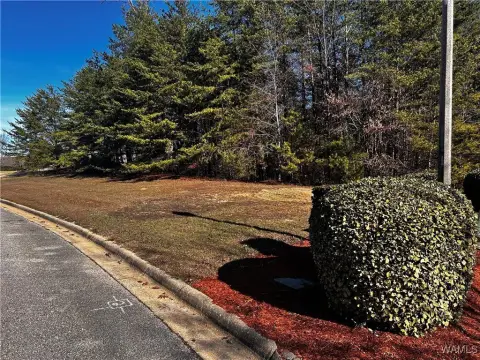 Tuscaloosa Land Near Lake Haven