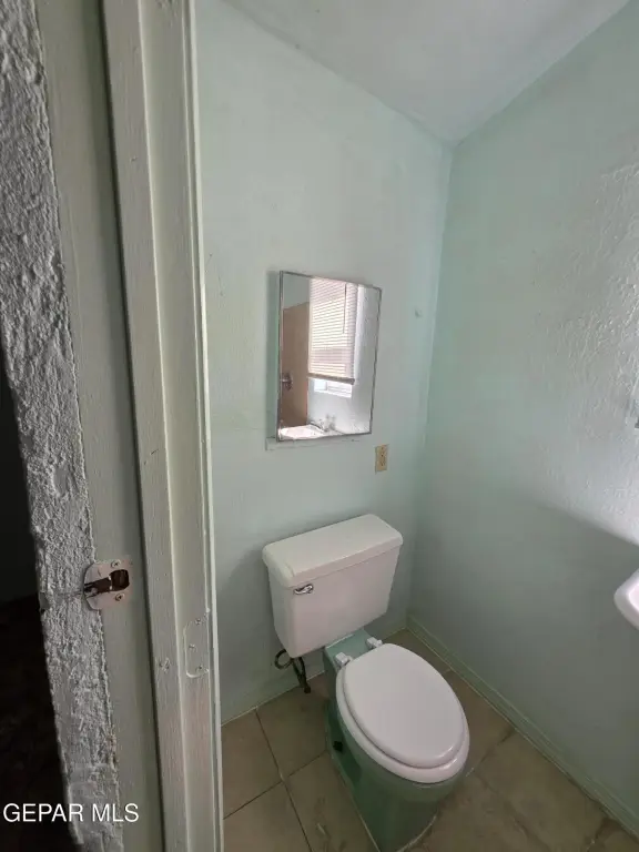 Picture 8