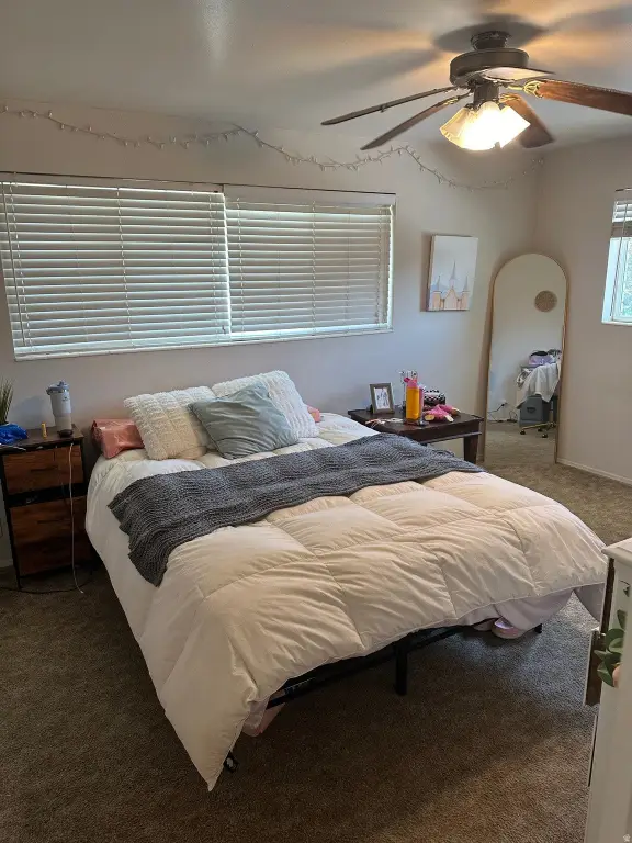 Picture 39