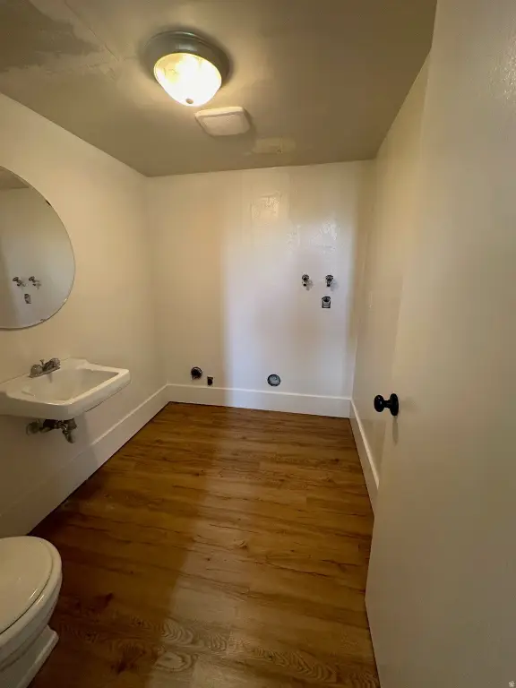 Picture 28