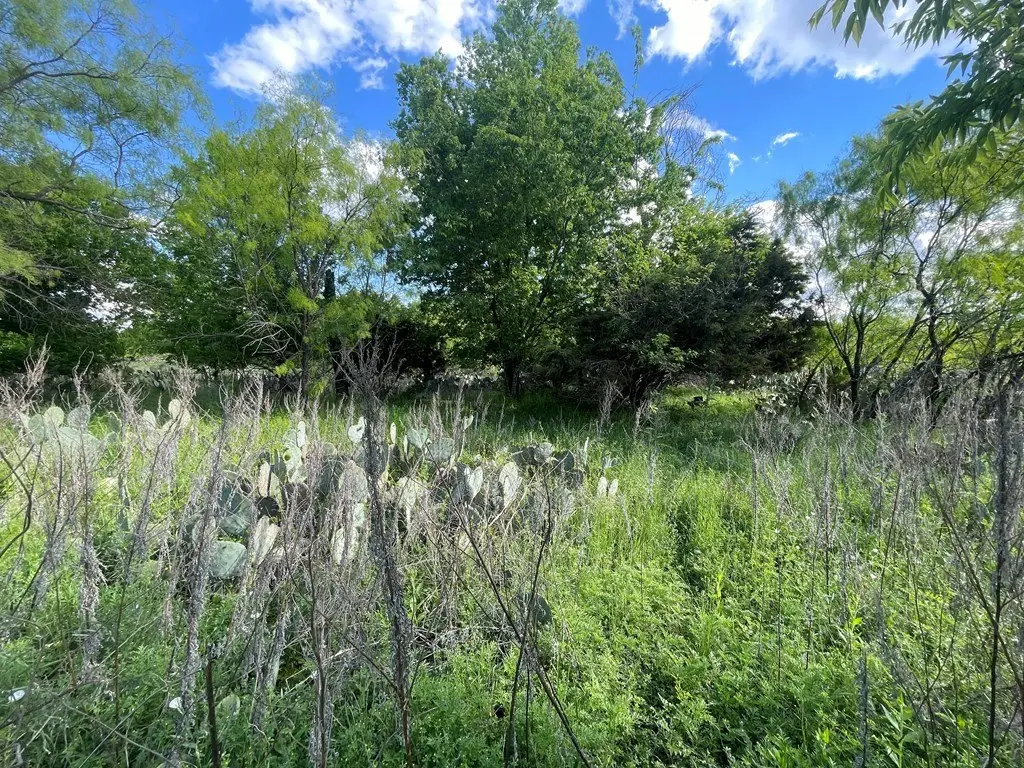 Picture 5