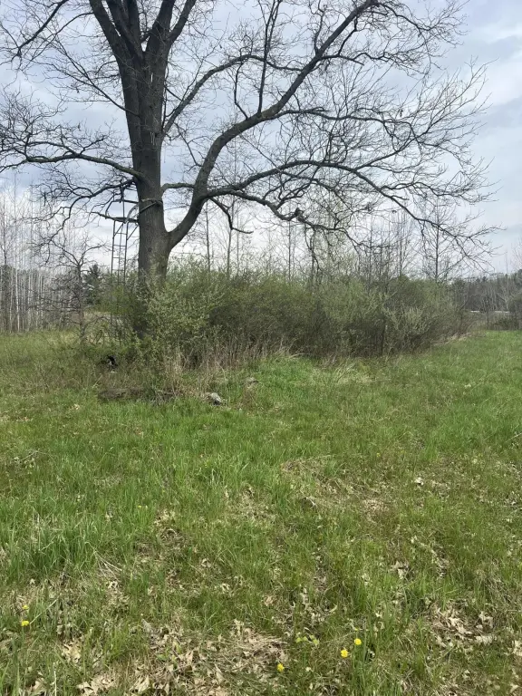 Picture 20