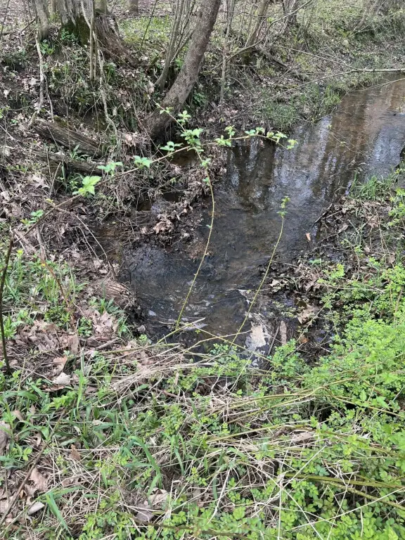 Picture 18