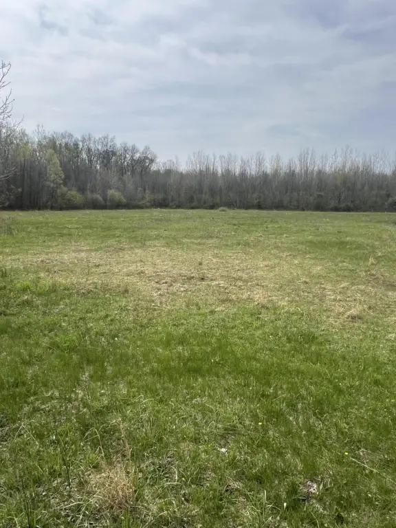 Picture 12
