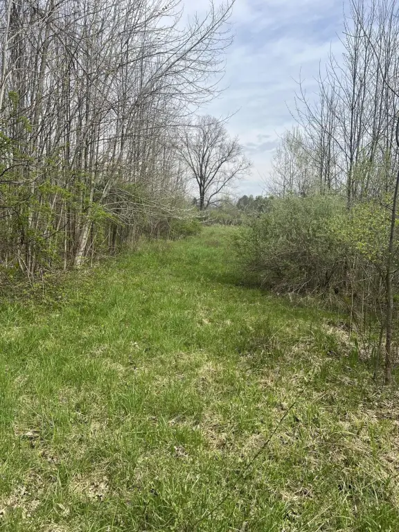 Picture 14