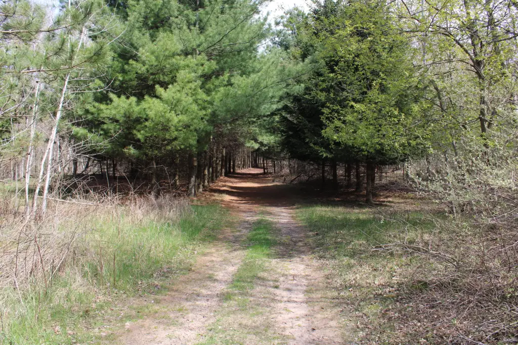Picture 62