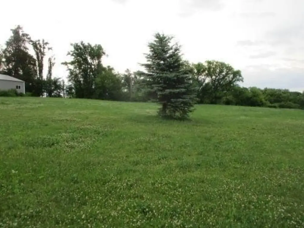 Picture 10